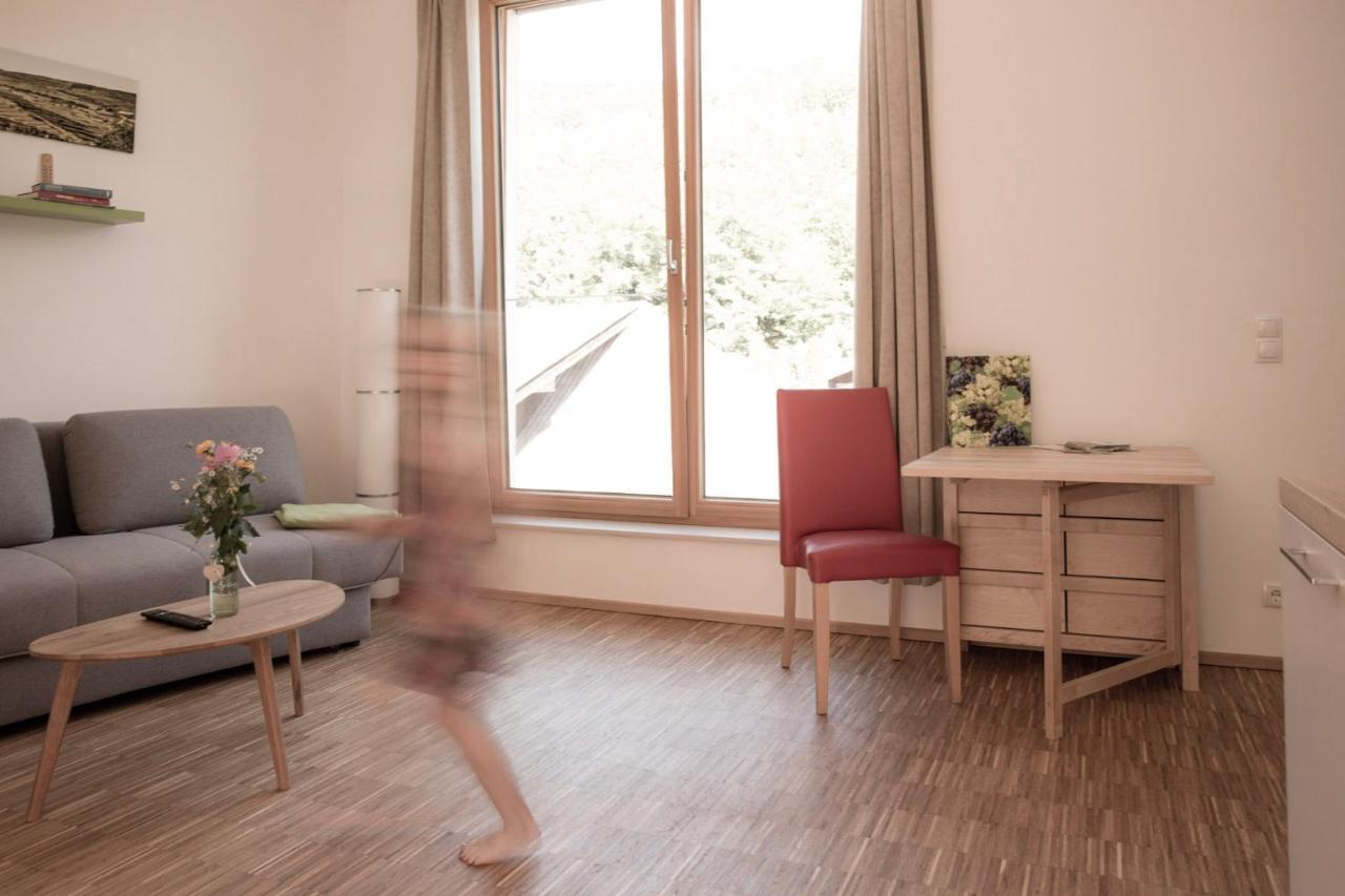 Ferienwohnung Am Weingut Eisenbock Strass  エクステリア 写真