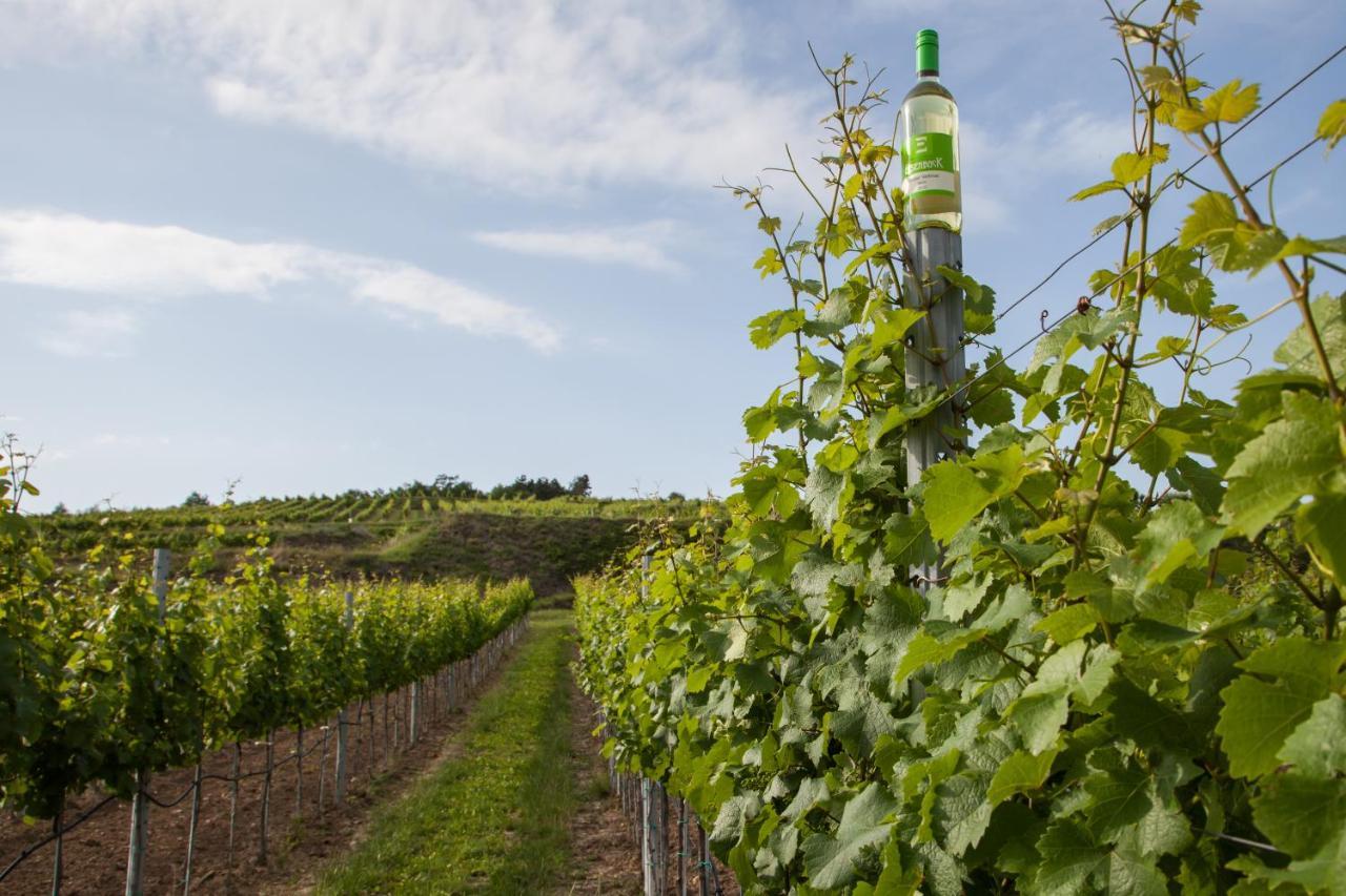 Ferienwohnung Am Weingut Eisenbock Strass  エクステリア 写真