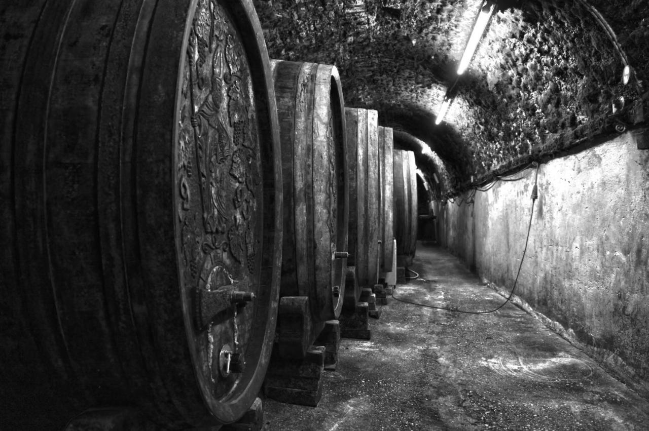 Ferienwohnung Am Weingut Eisenbock Strass  エクステリア 写真