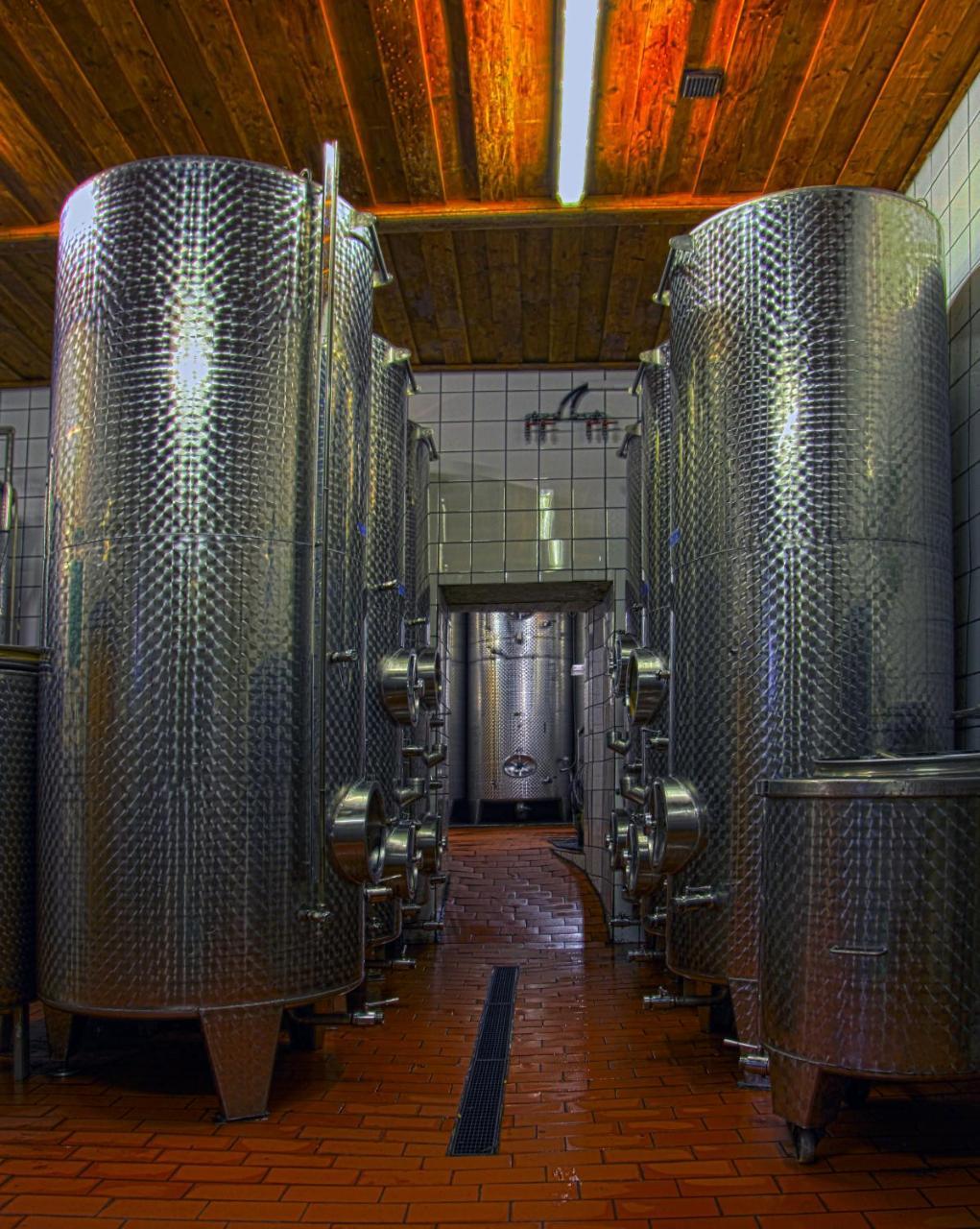 Ferienwohnung Am Weingut Eisenbock Strass  エクステリア 写真